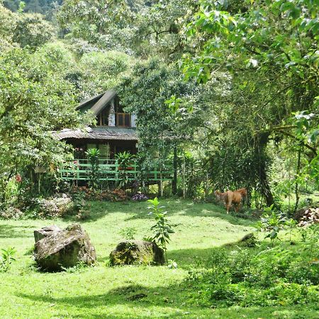 Mindo Eco Chalet Con Rio Y Cascada المظهر الخارجي الصورة