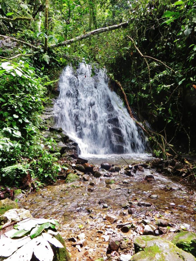 Mindo Eco Chalet Con Rio Y Cascada المظهر الخارجي الصورة
