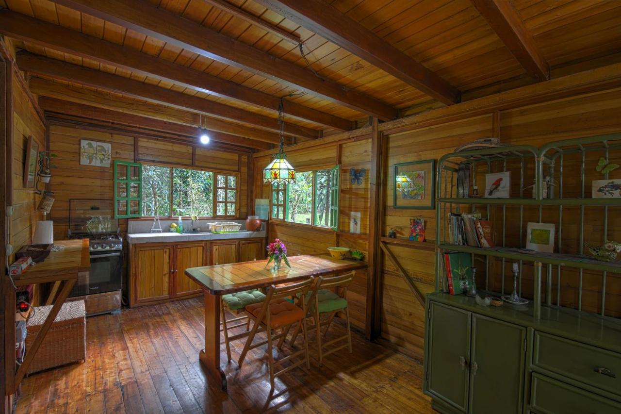 Mindo Eco Chalet Con Rio Y Cascada المظهر الخارجي الصورة