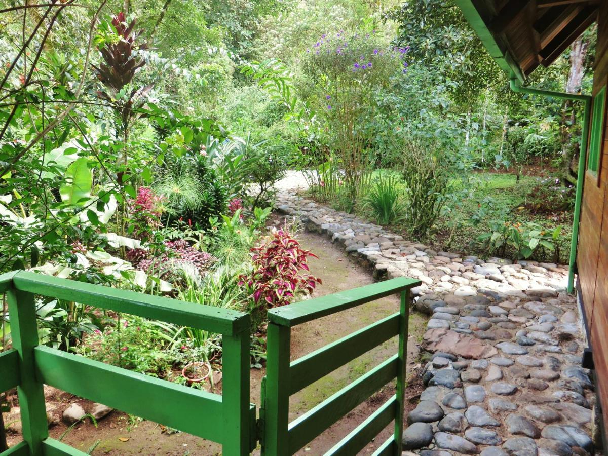 Mindo Eco Chalet Con Rio Y Cascada المظهر الخارجي الصورة