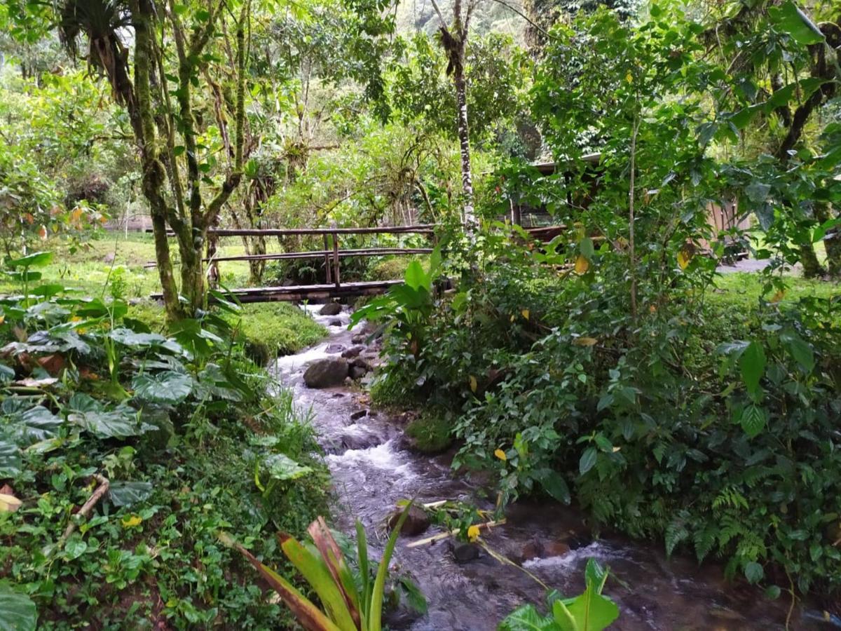 Mindo Eco Chalet Con Rio Y Cascada المظهر الخارجي الصورة