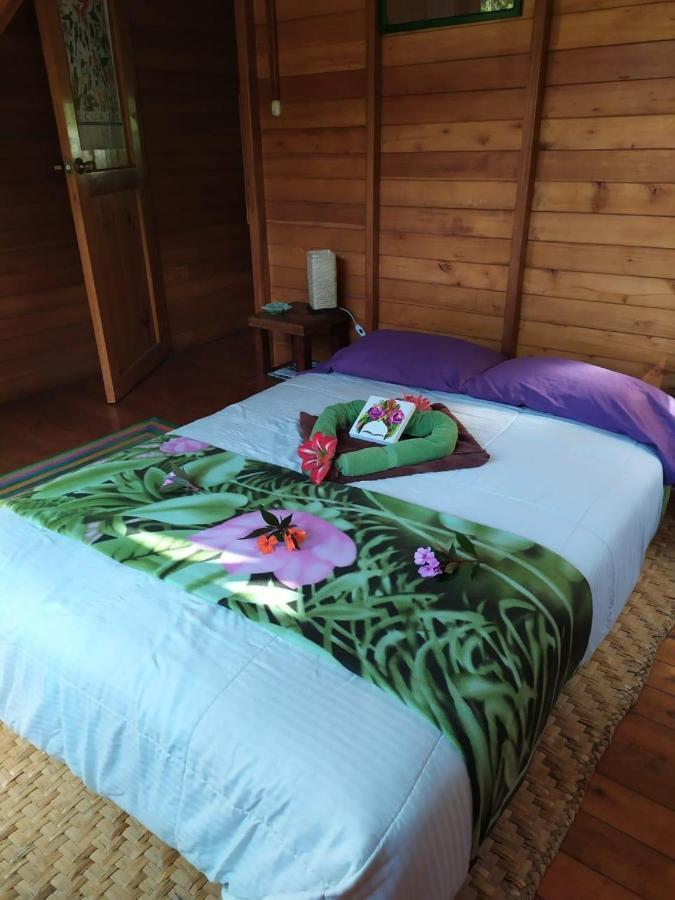 Mindo Eco Chalet Con Rio Y Cascada المظهر الخارجي الصورة