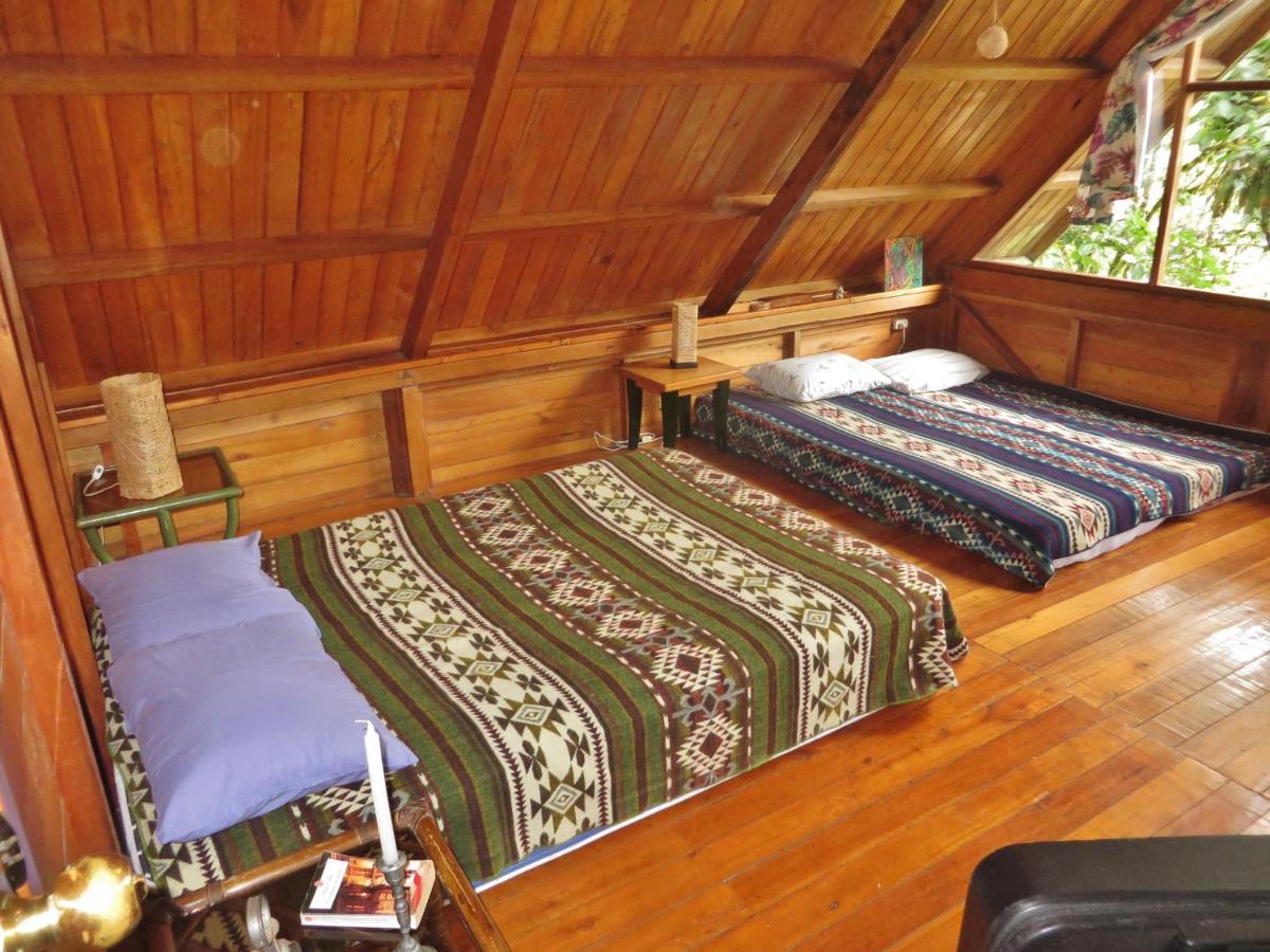 Mindo Eco Chalet Con Rio Y Cascada المظهر الخارجي الصورة