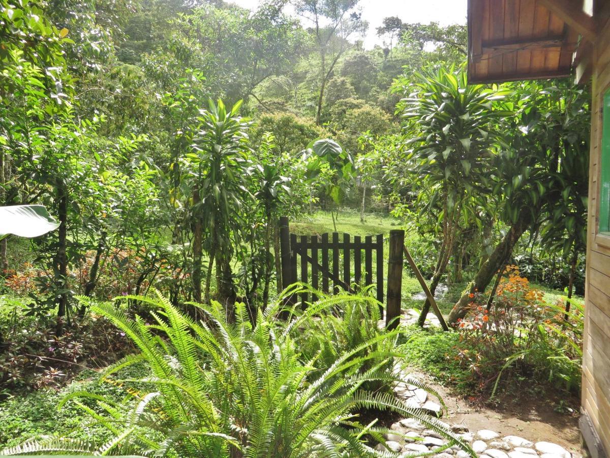 Mindo Eco Chalet Con Rio Y Cascada المظهر الخارجي الصورة