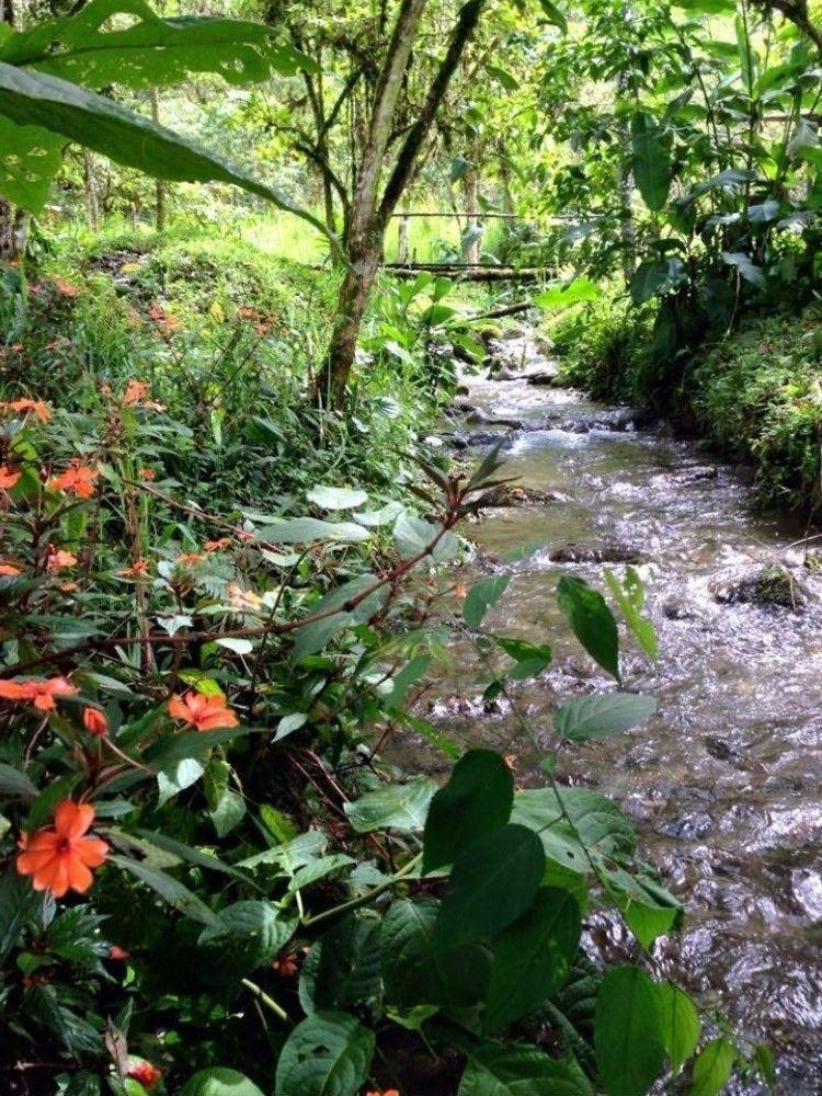 Mindo Eco Chalet Con Rio Y Cascada المظهر الخارجي الصورة