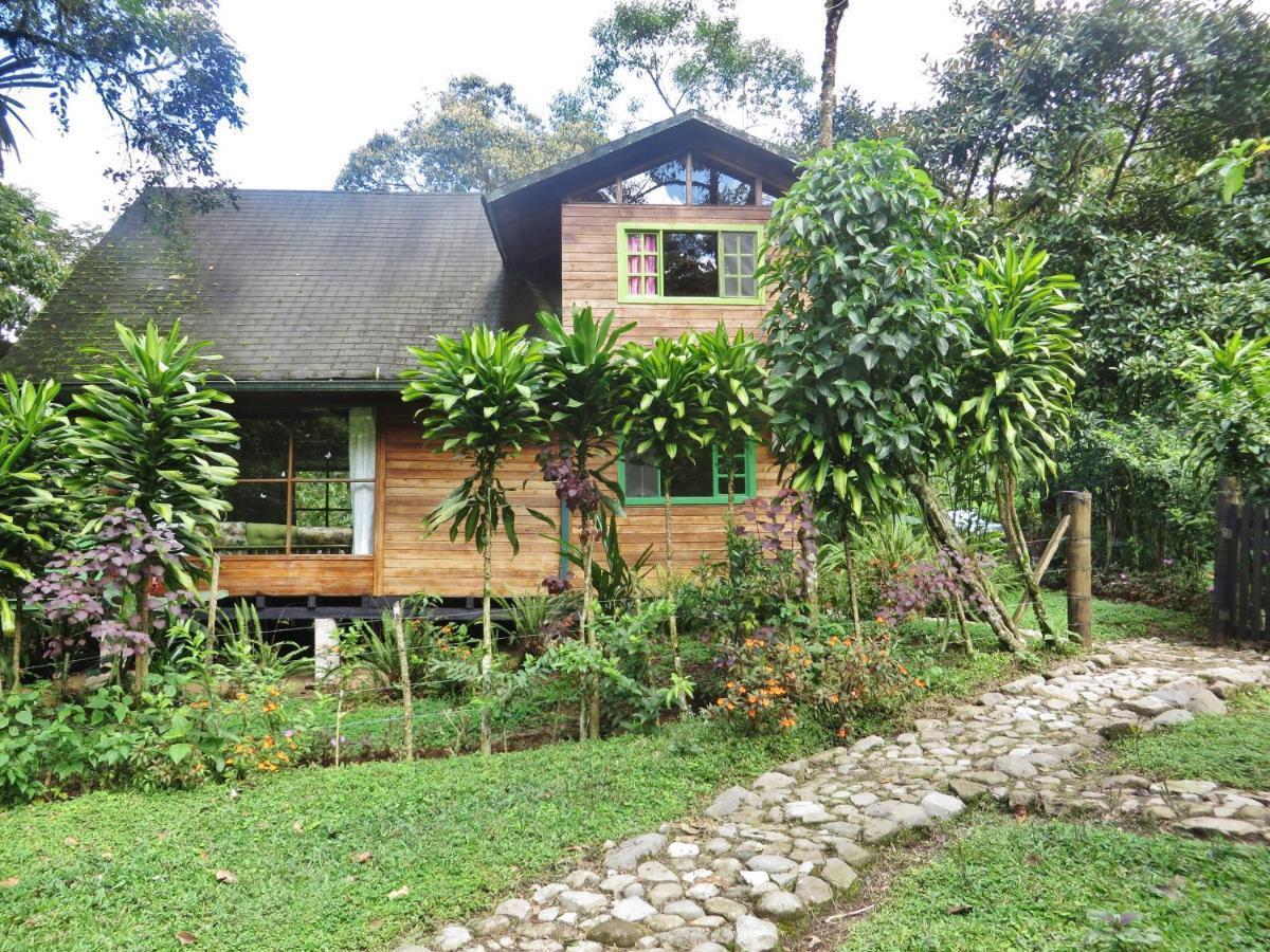 Mindo Eco Chalet Con Rio Y Cascada المظهر الخارجي الصورة