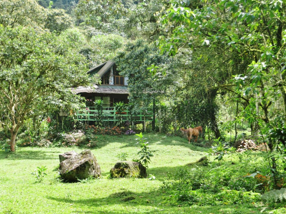Mindo Eco Chalet Con Rio Y Cascada المظهر الخارجي الصورة