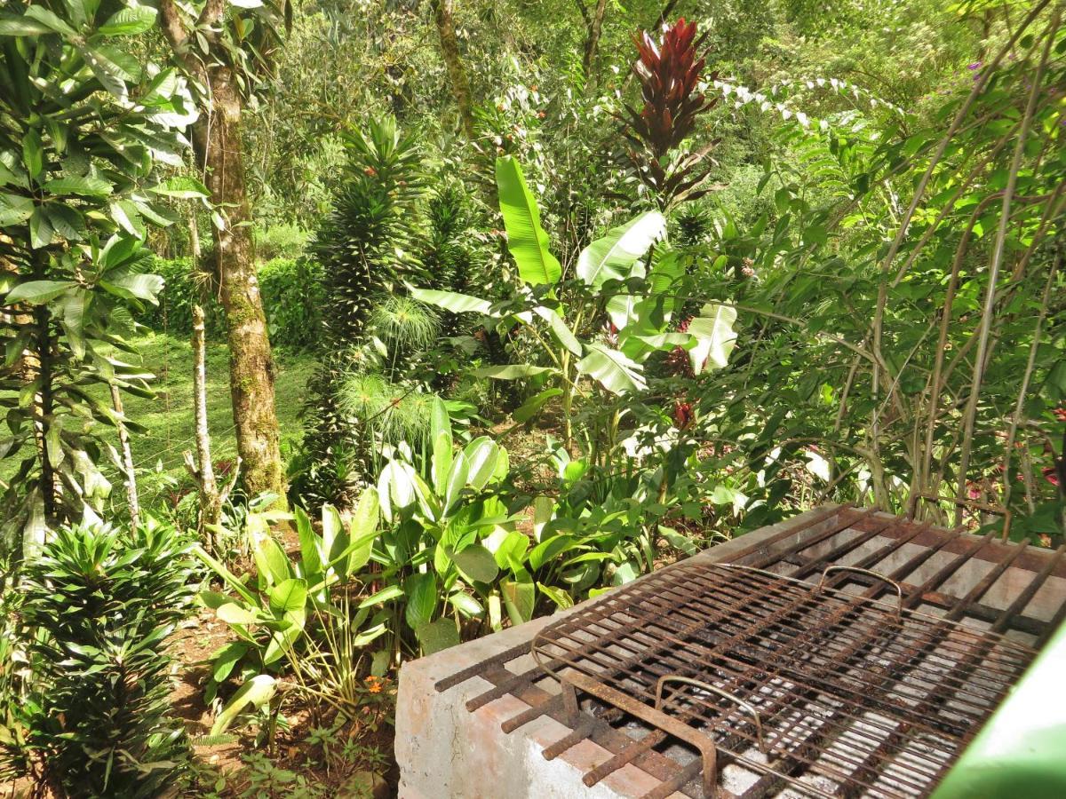 Mindo Eco Chalet Con Rio Y Cascada المظهر الخارجي الصورة